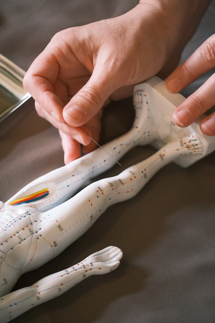 Modèle des méridiens d'acupuncture